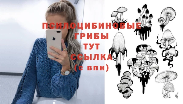 шишки Заволжск