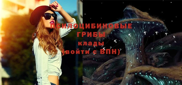 дурь Алексин