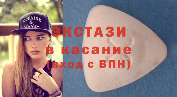 сатива Инта